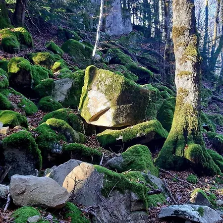 Le Petit Mars Le Vaulmier
