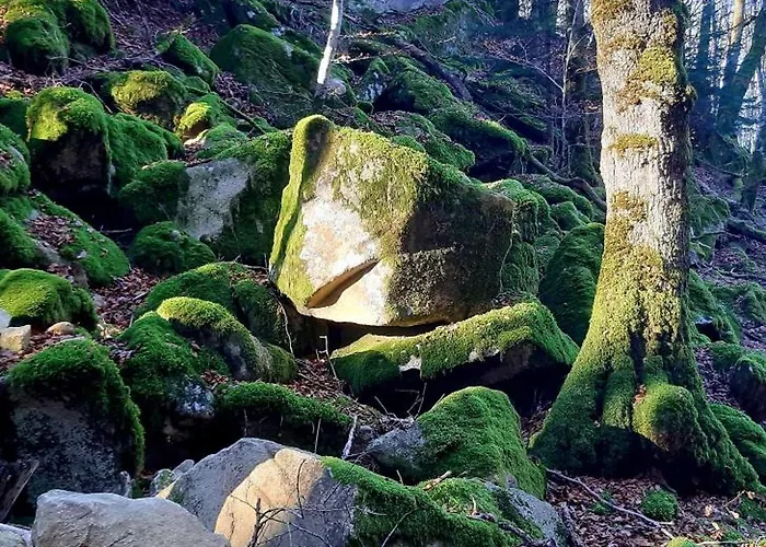 Le Petit Mars Le Vaulmier